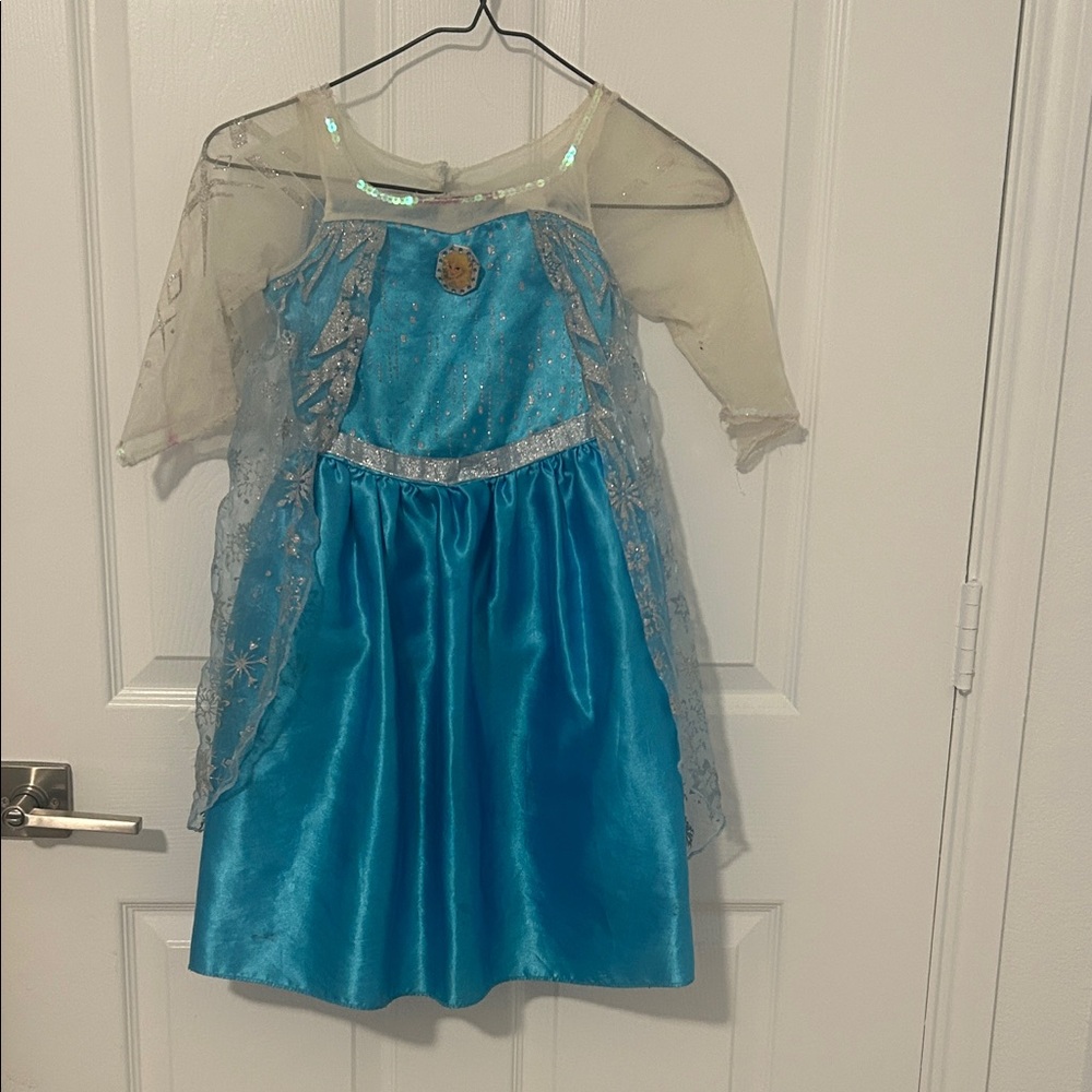 Blue and Silver Kids Princess Costume